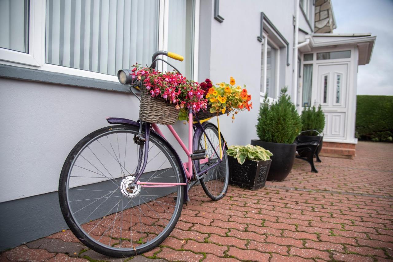 Drom Na Gainne B&B Carrickmore Dış mekan fotoğraf